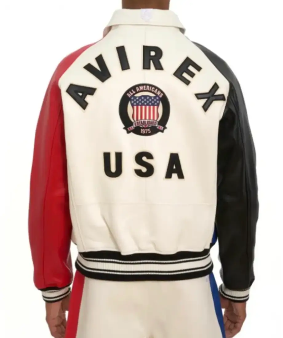Avirex Color Block Leather Jacket - Image 6
