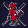 Women's St. Louis Cardinals Pro Standard Mashup Varsity Jacket - Image 5