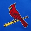 Women's St. Louis Cardinals Pro Standard Script Tail Varsity Jacket - Image 5