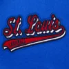 Women's St. Louis Cardinals Pro Standard Script Tail Varsity Jacket - Image 6