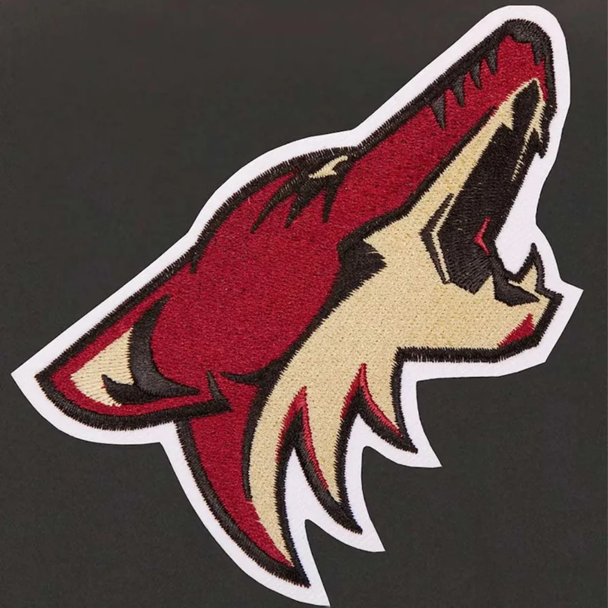 Arizona coyotes youth polyester bomber jacket