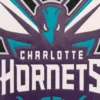 Charlotte hornets domestic two tone wool and leather jacket black white 4