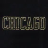 Chicago bulls pro standard logo black and gold varsity jacket 6