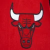 Chicago bulls script tail wool leather varsity jacket red black 3