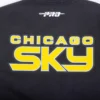 Chicago sky classic brand and team name logo on back