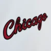 City collection lightweight satin jacket chicago bulls 3