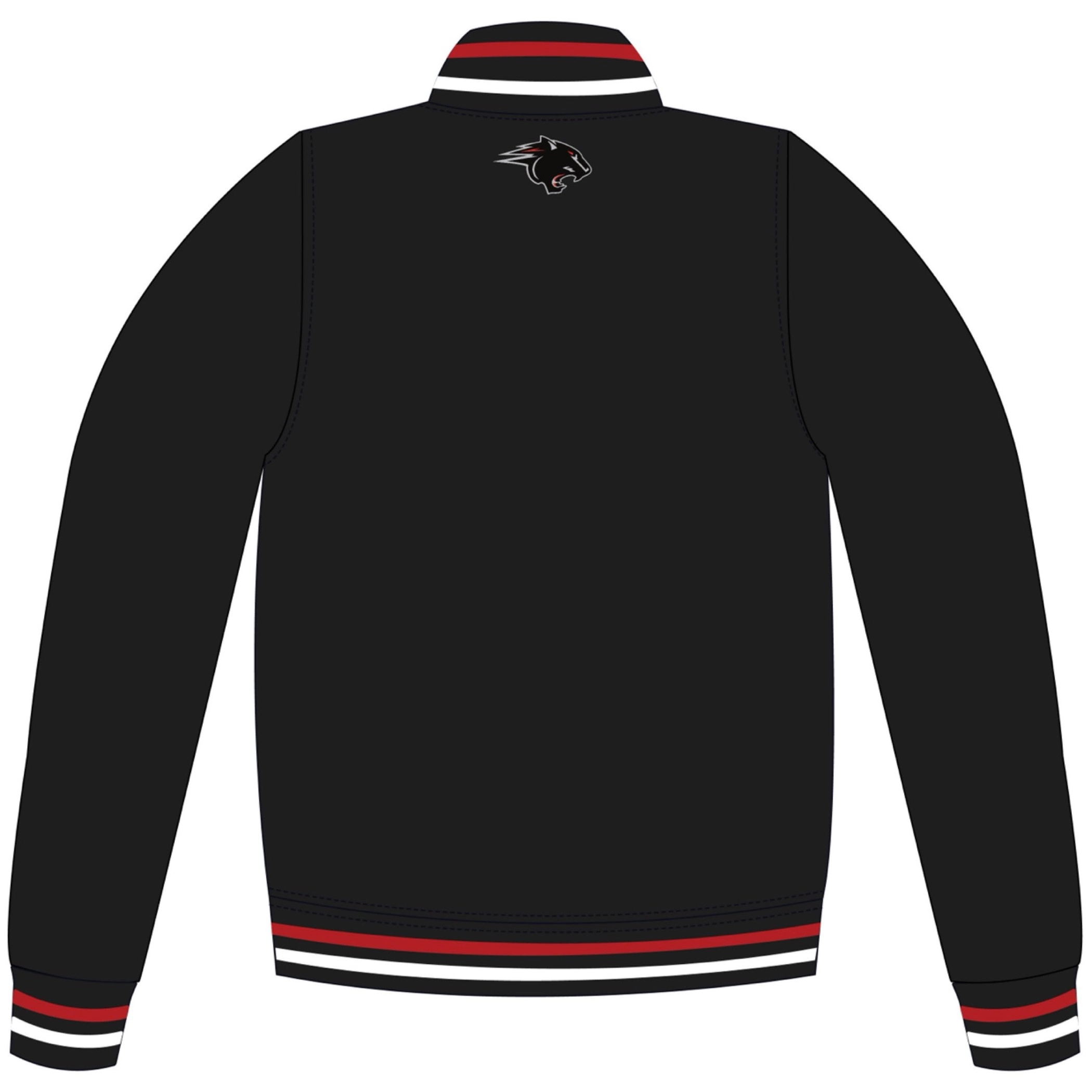Clark atlanta panthers full snap satin jacket