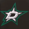 Dallas stars front hit polyester varsity jacket