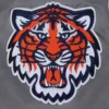 Detroit tigers script tail satin varsity jacket gray 6