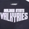 Golden state valkyries classic brand and team name logo on back