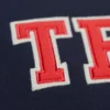 Houston texans sideline team logo