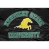Kentucky state thorobreds classic team logo