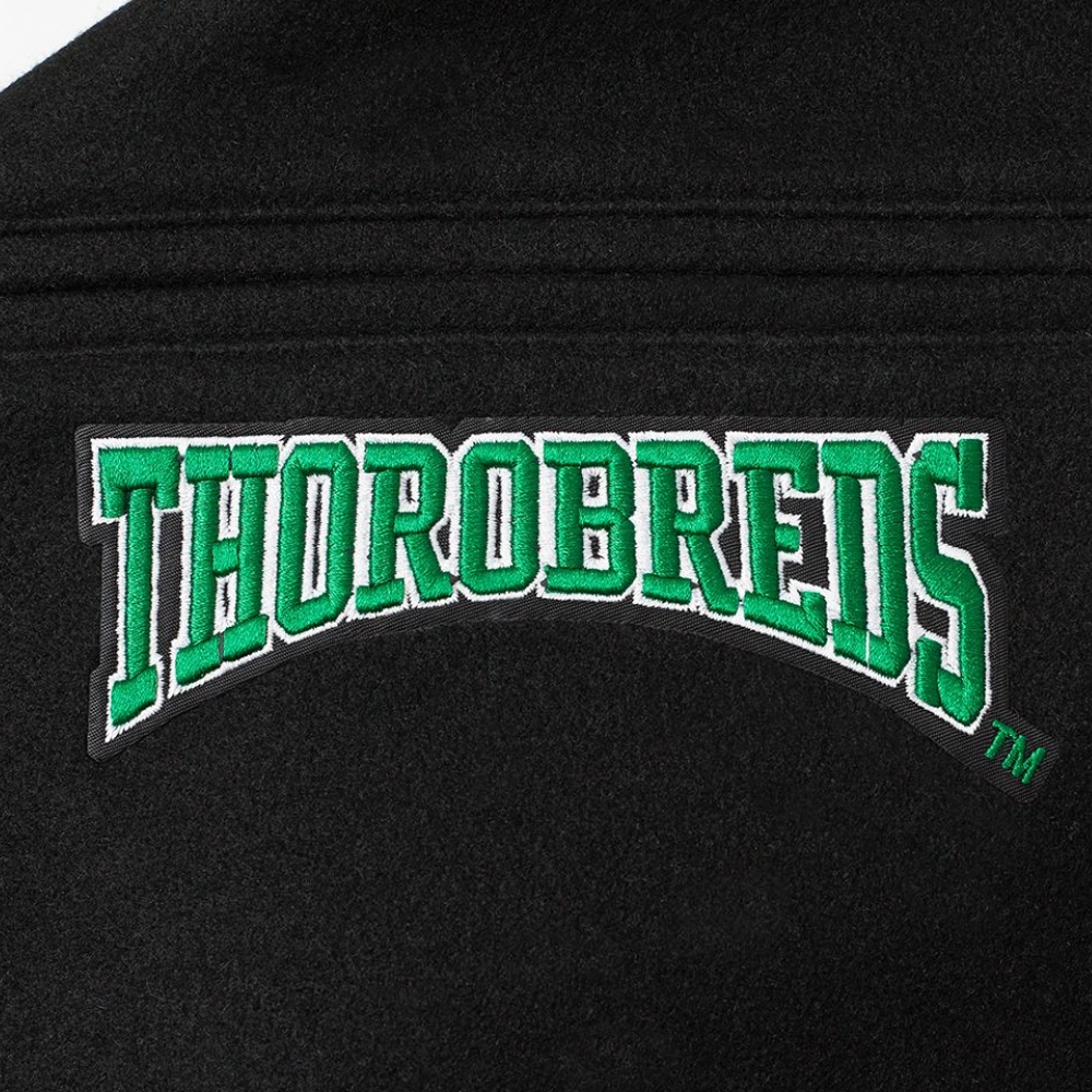 Kentucky state thorobreds crest emblem back logo