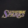 Los angeles sparks retro classic chenille team name patch on right chest