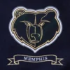 Memphis grizzlies pro standard pro prep wool and leather varsity jacket 6