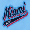 Miami marlins script tail rib wool leather varsity bluewhite 5