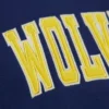 Michigan wolverines navy sideline patch logo