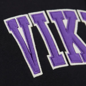 Minnesota vikings sideline team logo