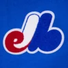 Montreal expos retro classic wool leather varsity jacket blue white 8