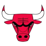 Nba chicago bulls logo