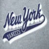 New york yankees script tail rib wool leather varsity jacket graywhite