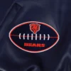Nfl chicago bears patch logo