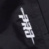 Nfl detroit lions pro team patch logo