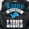Nfl detroit lions team logo