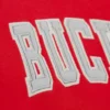 Ohio state buckeyes sideline team patch logo