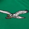 Philadelphia eagles courtside hooded varsity logo patch