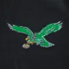 Philadelphia eagles logo