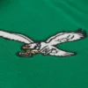 Philadelphia eagles sideline offical logo