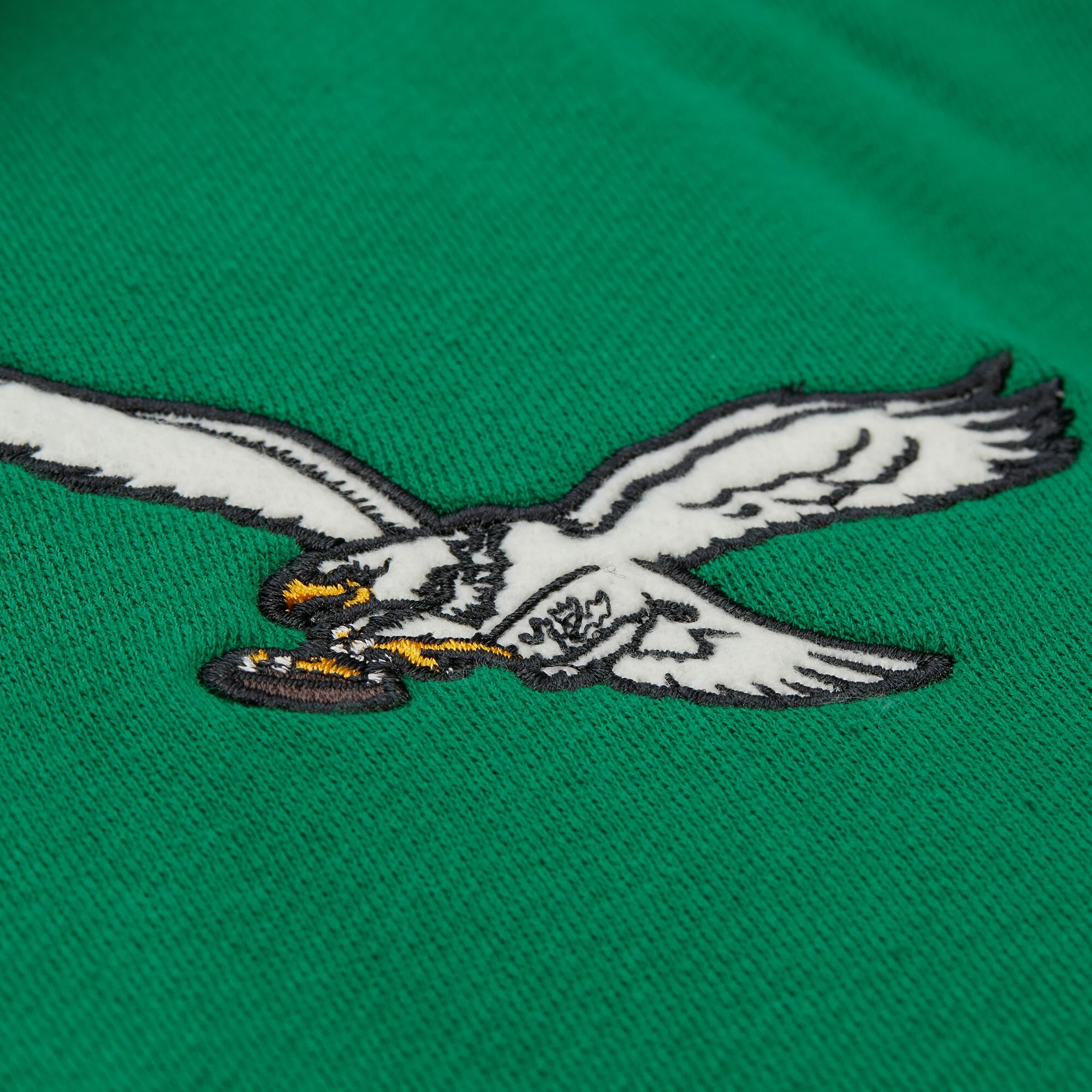 Philadelphia eagles sideline offical logo