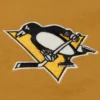 Pittsburgh penguins browncream dusted hooded team logo