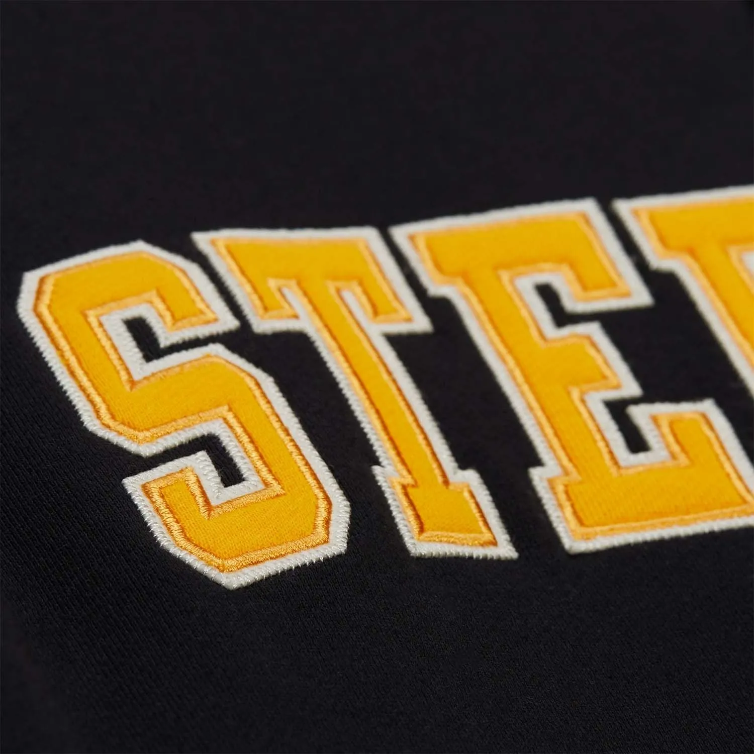 Pittsburgh steelers courtside hooded varsity team logo