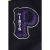 Prairie view am panthers classic team logo
