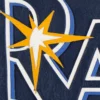 Tampa bay rays genuine leather varsity jacket navy 3