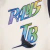 Tampa bay rays retro classic wool leather varsity jacket white black 3