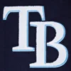 Tampa bay rays script tail wool leather varsity jacket navy white 1