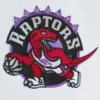 Toronto raptors city collection satin jacket