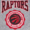 Toronto raptors pro standard crest emblem full zip gray wool varsity jacket 4