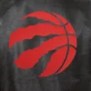 Toronto raptors real leather varsity jacket black 3
