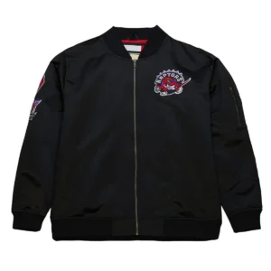 Toronto raptors vintage logo jacket