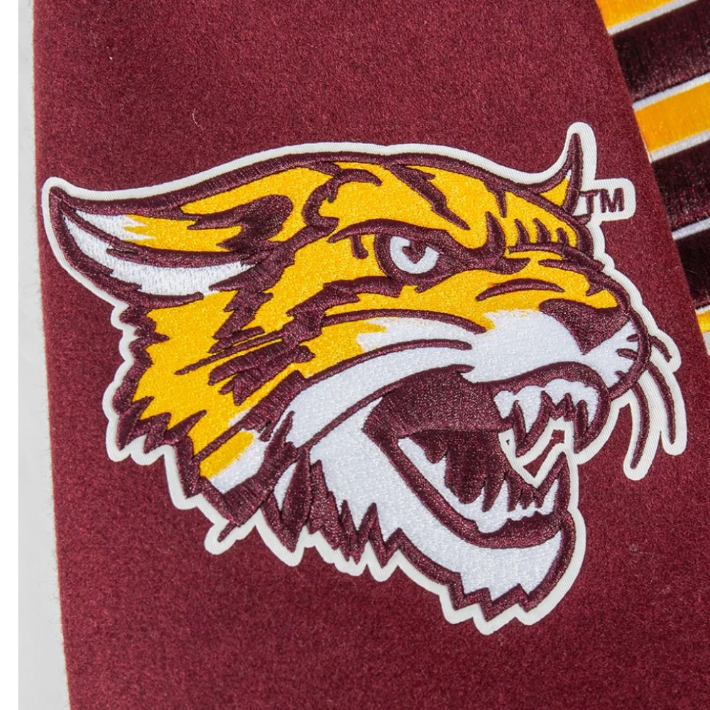 Bethunecookman wildcats classic wool patch design
