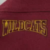 Bethunecookman wildcats classic wool team logo patches