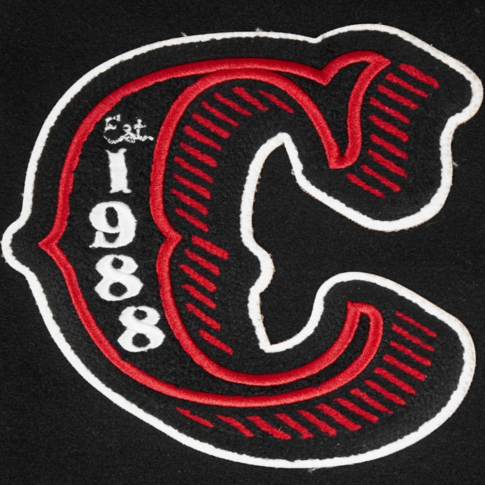 Clark atlanta panthers classic black patches
