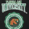 Florida am rattlers crest emblem black wool patches