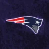 New england patriots the wild collective metallic bomber black polyester varsity jacket