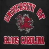 South carolina state bulldogs classic blackwhite wool leather patches