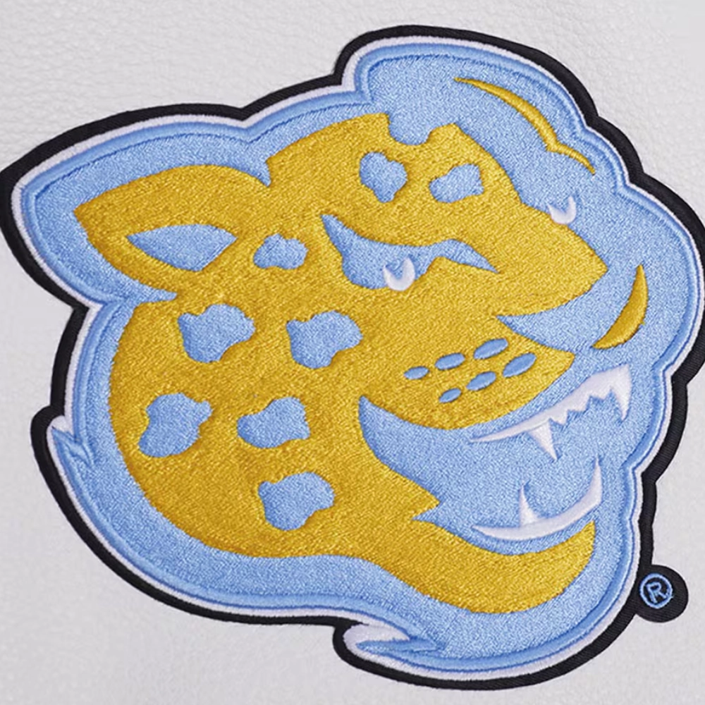Southern jaguars hbcu vintage wool leather varsity patches